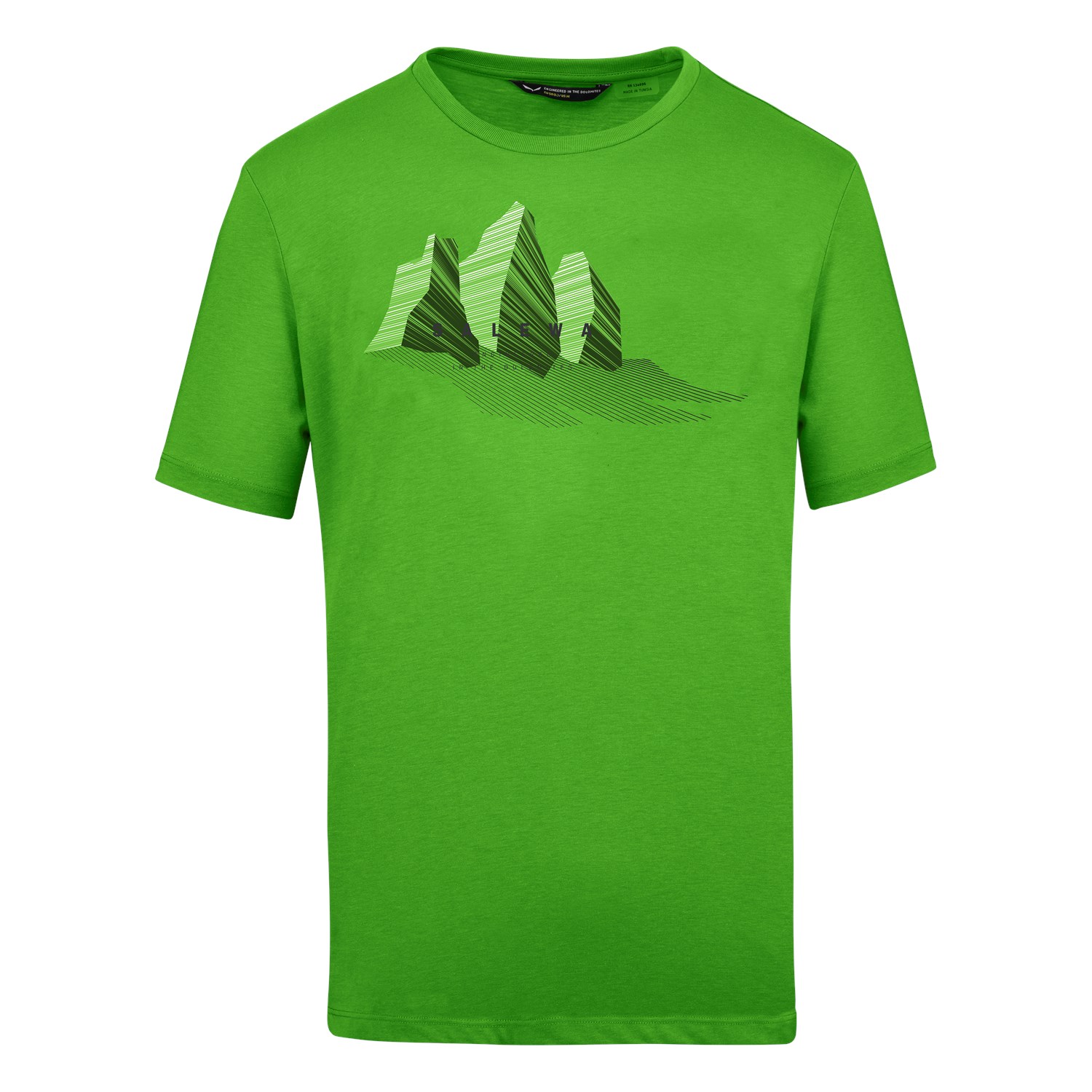 Camisetas Hombre Chile - Salewa Lines Graphic Dry - Verde - GMRD-64079